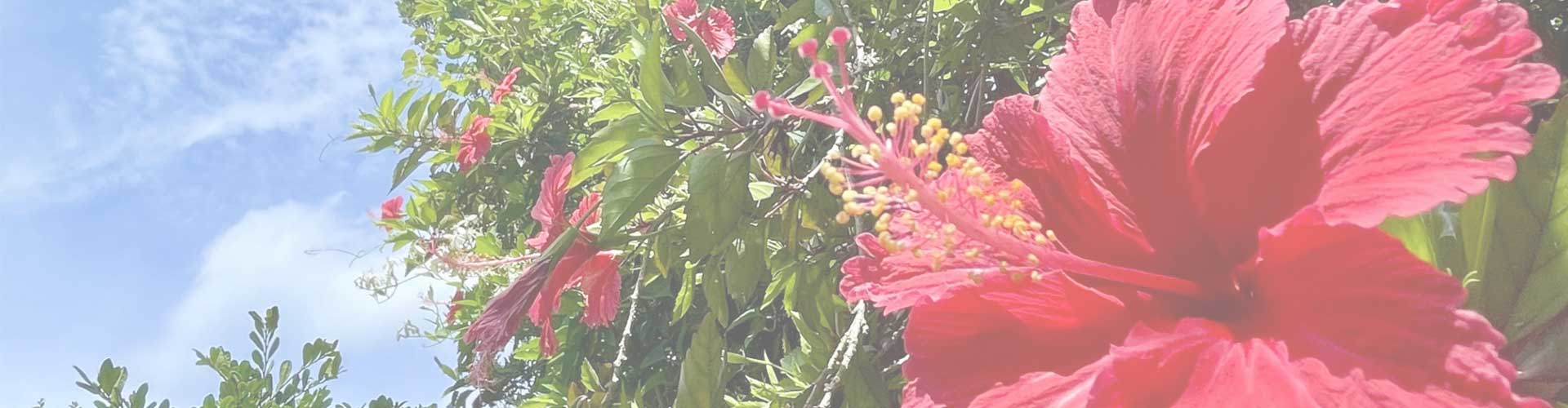 沖縄の消費者金融　ライン